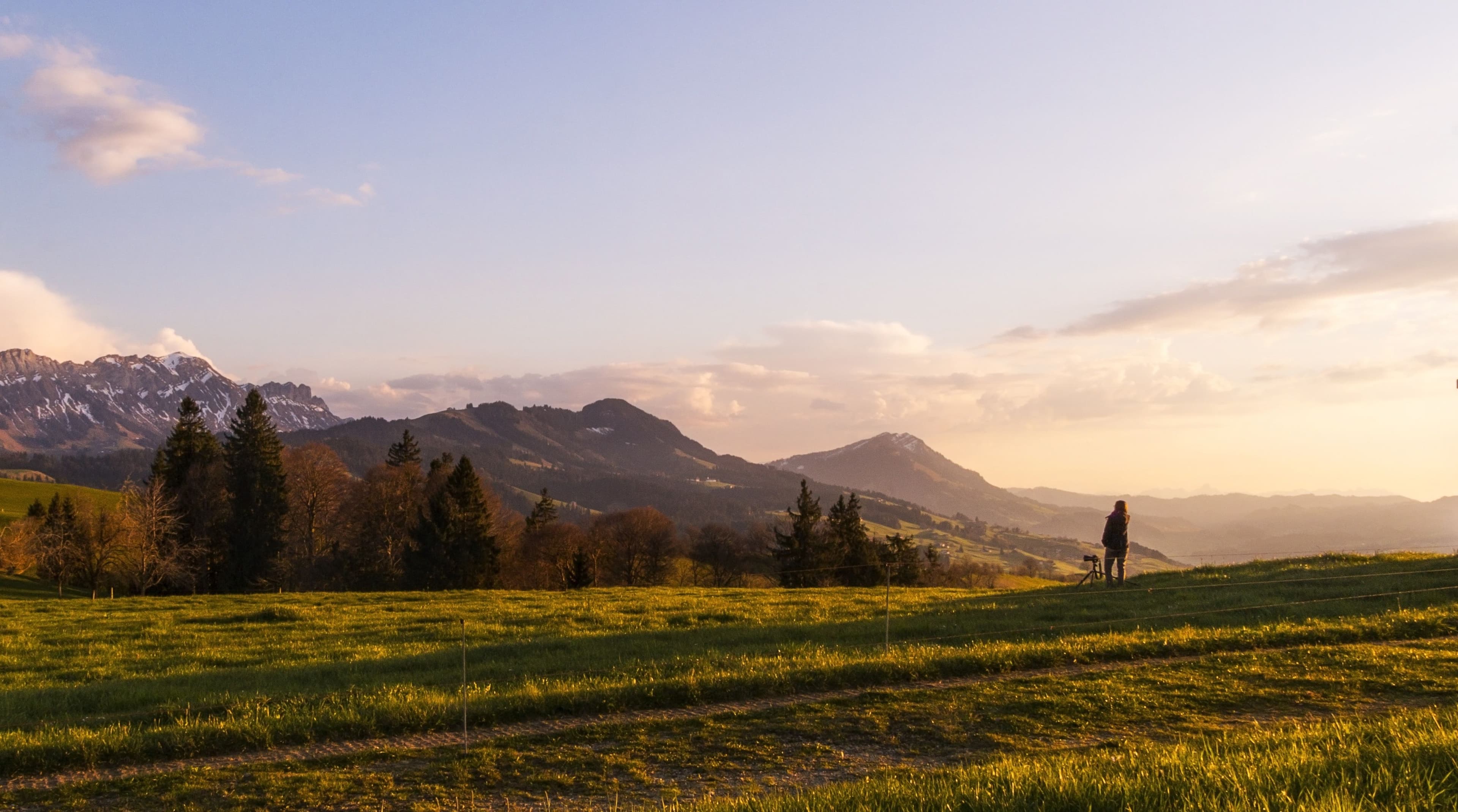 Landschaft mit Wiese und Bergen im Hintergrund