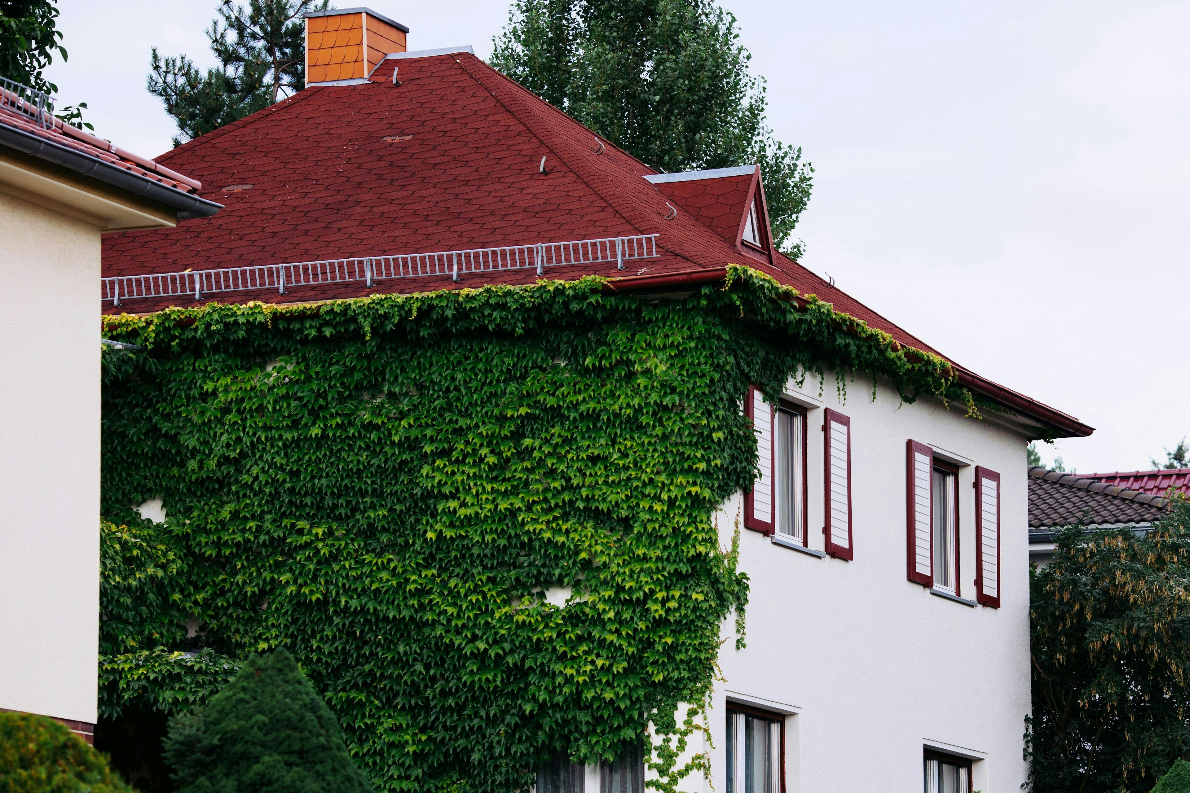 Nachbarschaft in Gera, ein grüne bewachsenes Haus