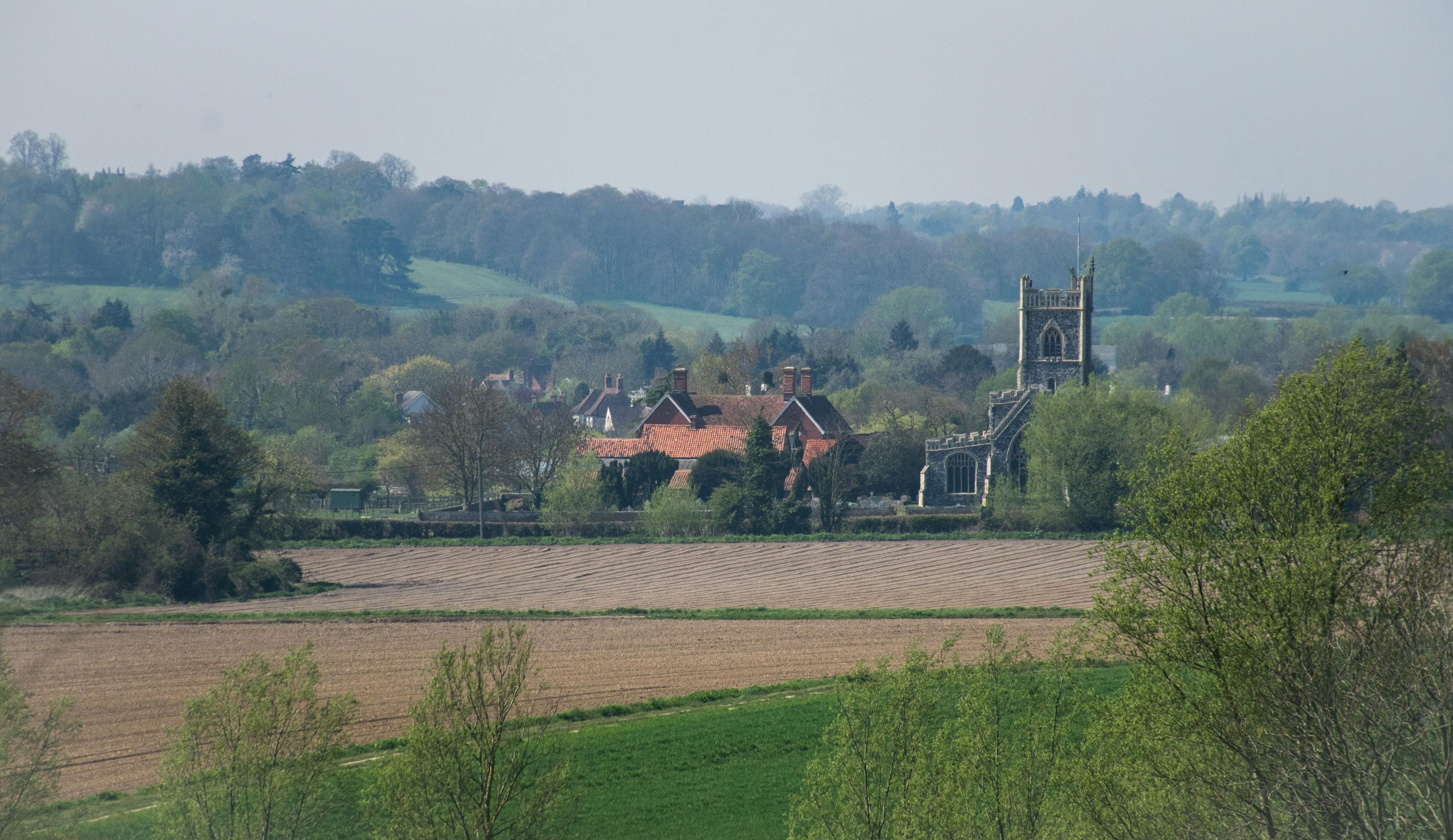 Village in Essex with fields and a church